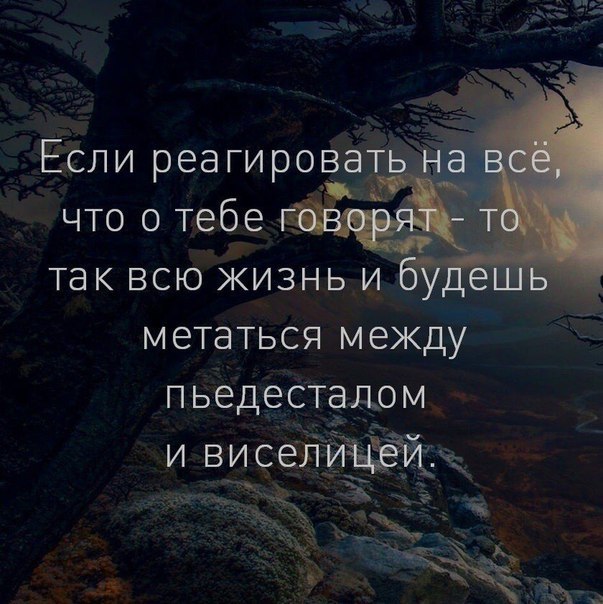   - 11  2017  03:41