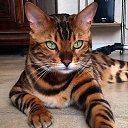 ���� Tamara, ������ ��������, 40 ��� - ��������� 12 ���� 2017 � ������ ���� ����������