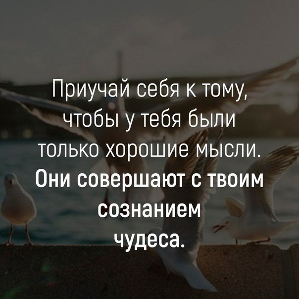    - 29  2017  21:09