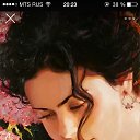 ���� ���, ������ - ��������� 23 ���� 2017 � ������ ���� ����������