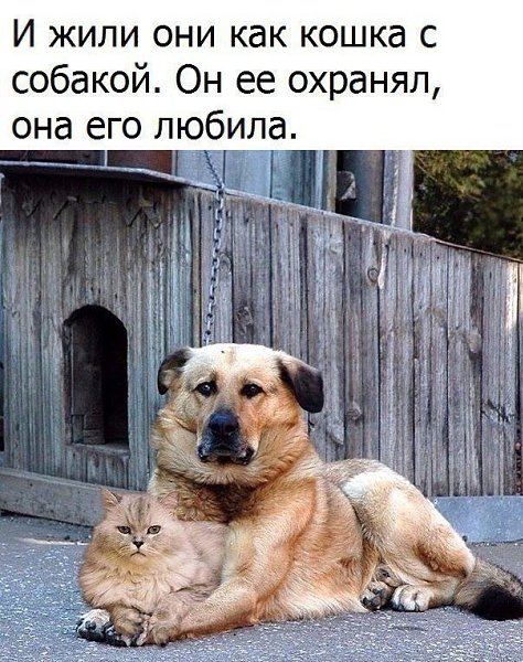 ,   ,    - 17  2017  17:56