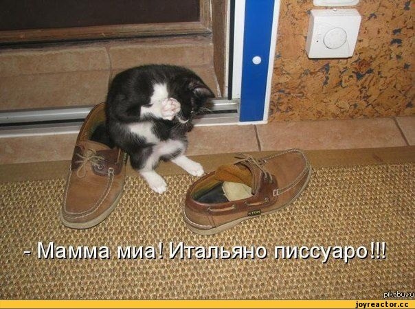 GIF - 12  2017  16:18