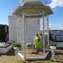 ���� ��������, ������, 54 ���� - ��������� 9 ������� 2017 � ������ ���� ����������