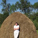 ���� �������, �������, 41 ��� - ��������� 14 ������ 2017 � ������ ������ ��������