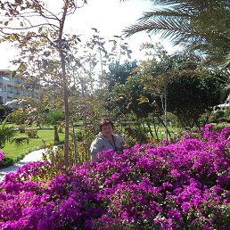 ���������, ������-��-����