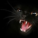 ���� ����� �����, ����, 50 ��� - ��������� 21 ���� 2017 � ������ �������� ������