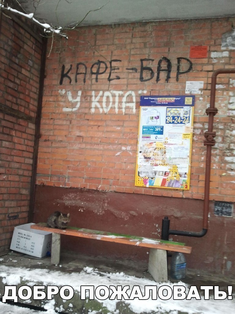 ☆☆ - 12  2017  18:52