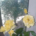 ���� Wiktor, ������ ��� - ��������� 20 ������� 2017 � ������ ���� �����