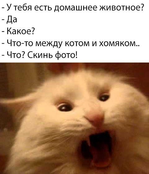  - 11  2017  17:15