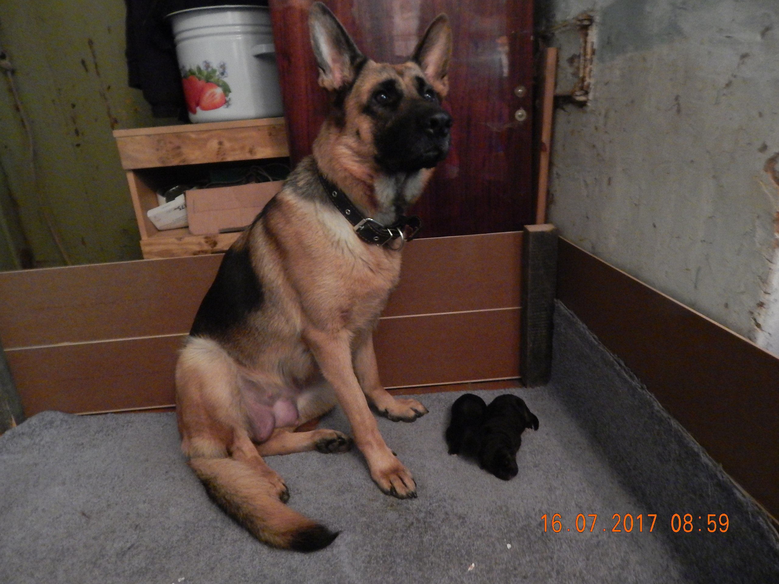 � ��� �������� �����! 2 �������� �������!