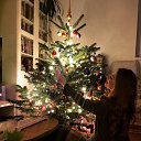 ���� �����, �������, 35 ��� - ��������� 15 ���� 2017 � ������ ���� ����������