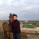 ���� Edward, �������������, 42 ���� - ��������� 26 �������� 2017 � ������ ���� ����������
