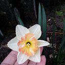 ���� �������, ������, 58 ��� - ��������� 30 ������ 2017 � ������ ���������� �����