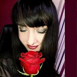 ���� ����, ������, 42 ���� - ��������� 2 ������� 2017