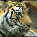 ���� ������, ��������, 50 ��� - ��������� 4 ���� 2017 � ������ ������ ��������