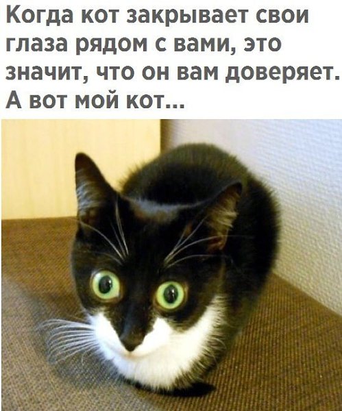  - 24  2017  03:02