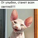 ���� �������, ������, 59 ��� - ��������� 27 �������� 2017 � ������ ���� ����������