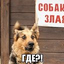 ���� �����, ������� - ��������� 22 ��� 2017 � ������ ����