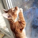 ���� ����, �������, 58 ��� - ��������� 3 ���� 2017 � ������ ���� ����������