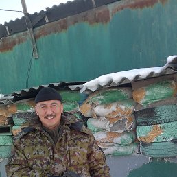 �����, �������, 54 ����