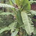 ���� ������, ����, 65 ��� - ��������� 13 ������� 2017 � ������ ���� ����������