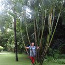 ���� �������, ��������, 74 ���� - ��������� 2 ��� 2017 � ������ ������ ��������