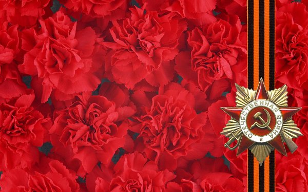 Надеюсь до последнего, что все же День ярких цветов был посвящен ФС именно этим цветам.Хотя, все ... - 3