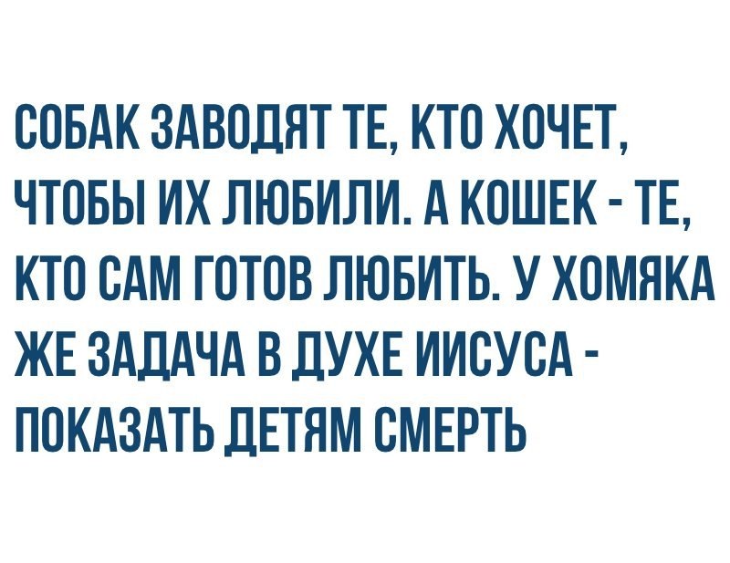    - 28  2017  22:28