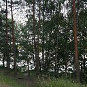  , , 75  -  29  2017   Ҹ   2017