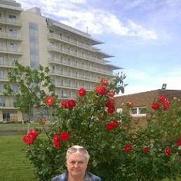 ���� �����, ������, 62 ���� - ��������� 29 ��� 2017