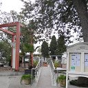  , , 60  -  6  2017   , ,06.09.17. ,...