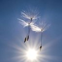 ������������ ����� �����...����������...��� ����� ������... �� ������� ���� ����������