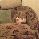 ���� Vasiliy, �����, 52 ���� - ��������� 23 �������� 2017 � ������ ���� ����������