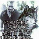 ���� �������, ���������, 38 ��� - ��������� 9 ��� 2017 � ������ ���� ����������