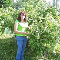 ��������, , ����