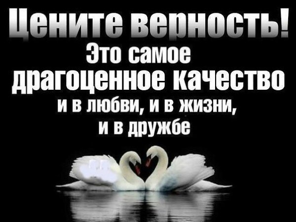 � ����� �� ���� - 29 ������� 2017 � 08:56