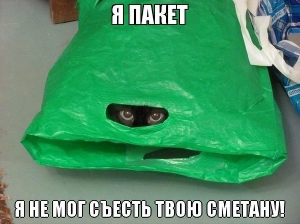  )