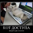 ���� �������, ������������, 38 ��� - ��������� 7 ������� 2017