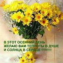 ���� ���, ������ - ��������� 2 ������� 2017 � ������ ������ ��������