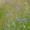 ���� �����, �������������, 23 ���� - ��������� 24 ���� 2017 � ������ ������ ��������