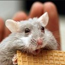 ���� ������, ������������ - ��������� 31 ������� 2017 � ������ ���� ����������