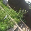 ���� ��������, ���������� �����, 36 ��� - ��������� 29 �������� 2017 � ������ ���� ����������