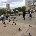 ���� ������, ������������, 47 ��� - ��������� 11 ���� 2017 � ������ ��ʻ