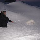 ���� ������, ����������, 55 ��� - ��������� 5 ������� 2017 � ������ ���� ����������