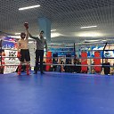 ���� ����, ���������, 41 ��� - ��������� 16 ������ 2017 � ������ ������ ��������