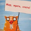 ���� O, ������, 57 ��� - ��������� 2 ��� 2017 � ������ ������ ��������