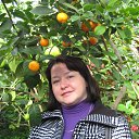 ���� ������, �����, 52 ���� - ��������� 15 ���� 2017