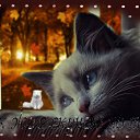 ���� ������������, ����� - ��������� 22 ������� 2017 � ������ ���� ����������