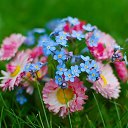 ���� �������, ������ - ��������� 21 ���� 2017 � ������ ������ ��������