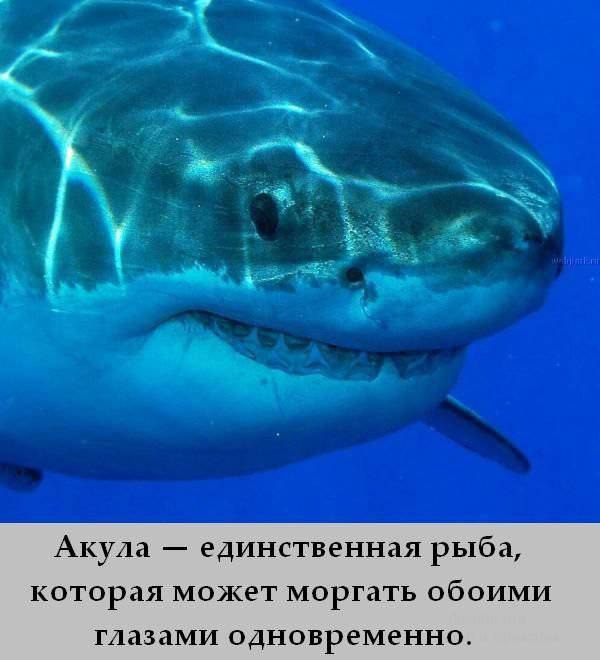 �� �� �������� ! - 23 ���� 2017 � 07:21